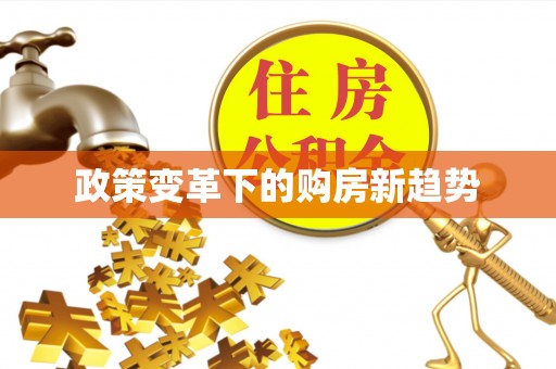 霍林郭勒政策变革下的购房新趋势