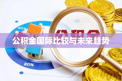 霍林郭勒公积金国际比较与未来趋势