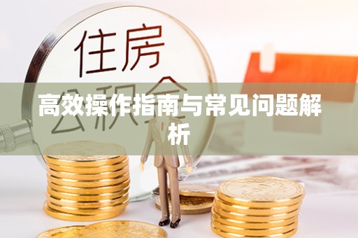 霍林郭勒高效操作指南与常见问题解析