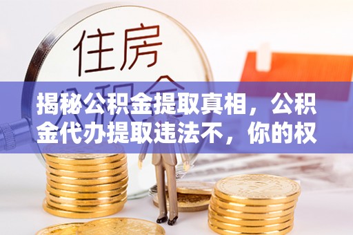 霍林郭勒揭秘公积金提取真相，公积金代办提取违法不，你的权益如何保障？