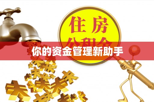 霍林郭勒你的资金管理新助手