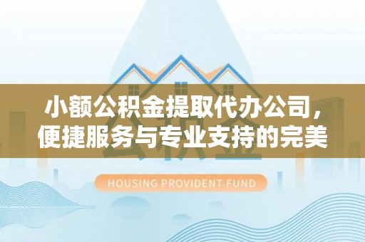 霍林郭勒小额公积金提取代办公司，便捷服务与专业支持的完美结合