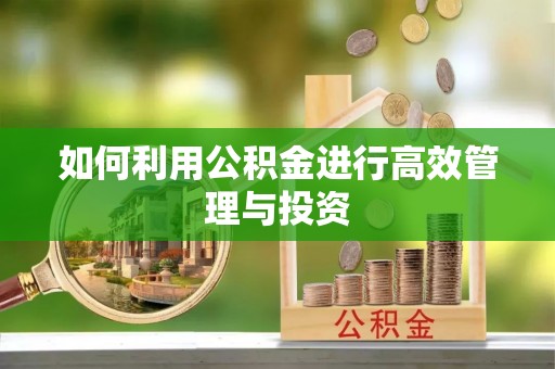 霍林郭勒如何利用公积金进行高效管理与投资
