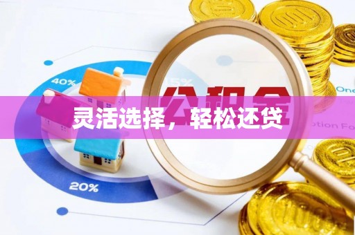 霍林郭勒灵活选择，轻松还贷